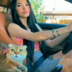 Cláudia Alende Instagram – Baby please don’t gooo #cats