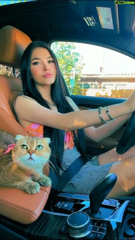 Cláudia Alende Instagram - Baby please don't gooo #cats