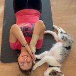 Clara de Sousa Instagram – O “treino” do Lucky foi tão intenso 🙄🙄🙄 que adormeceu! 😅
#luckyandme #personaltraining #crazybordercollie