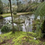 Clara de Sousa Instagram - Terra Nostra 💚 #parqueterranostra #furnas #acoressaomiguel #acoresportugal