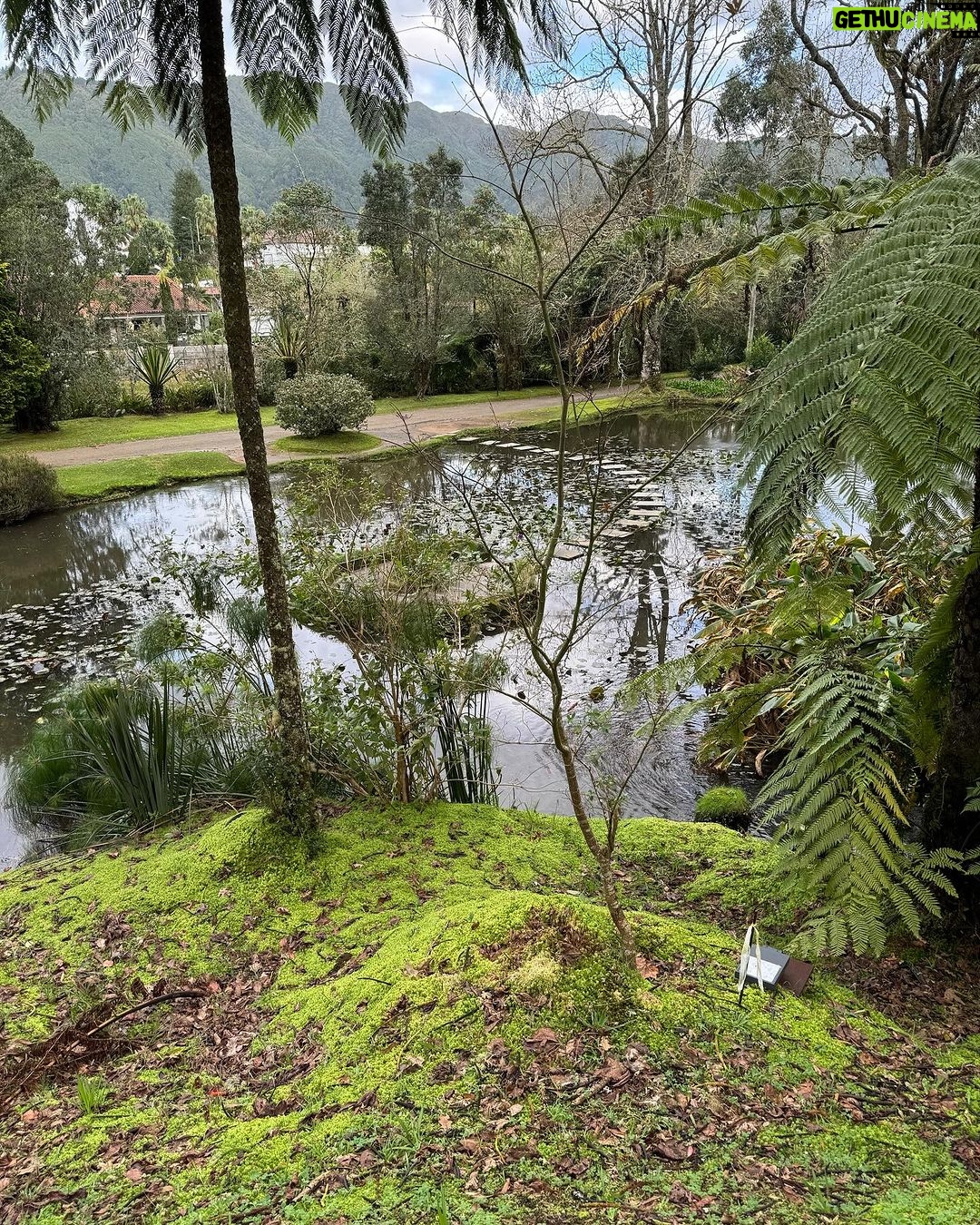 Clara de Sousa Instagram - Terra Nostra 💚 #parqueterranostra #furnas #acoressaomiguel #acoresportugal