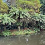 Clara de Sousa Instagram - Terra Nostra 💚 #parqueterranostra #furnas #acoressaomiguel #acoresportugal
