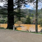 Clara de Sousa Instagram - Terra Nostra 💚 #parqueterranostra #furnas #acoressaomiguel #acoresportugal