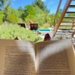Clara de Sousa Instagram – Dolce fare niente. 
Leituras “deliciosas” entre o campo 🌿 e o mar. ⛱ Férias.
#saberparar #descansototal #ferias2022 #feriasemportugal #📖acozinhainglesademisseliza📚