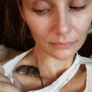 Clare Bowen Instagram - Latest orphan, Tiddle. 🤎
And now for some jet lag. 🚀 
Hello, Glasgow.. 💜✨

#NashvilleReunionTour #bowenyoung #clarebowen #wildlife #rescue #tour #home #peromyscus #yesiknowtheycancarrydisease #nohedoesnthaveanyofthemchillout #cute #nap #love