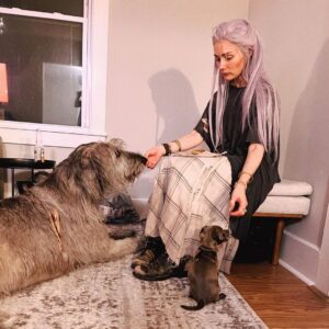 Clare Bowen Instagram - “How To Dog” including the extracurricular module: How To Not Get Sat On Or Accidentally Inhaled 101. 🐁✨

#pearl #faolan #irishwolfhound #whateverpearlis #giantdogs #handfruitdogs #bffs