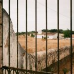 Clark Backo Instagram - Thank you @dalicencaestremoz for sharing your slice of heaven 🤍🌾 Alentejo Portugal