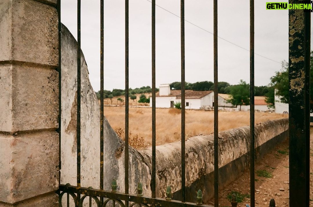 Clark Backo Instagram - Thank you @dalicencaestremoz for sharing your slice of heaven 🤍🌾 Alentejo Portugal