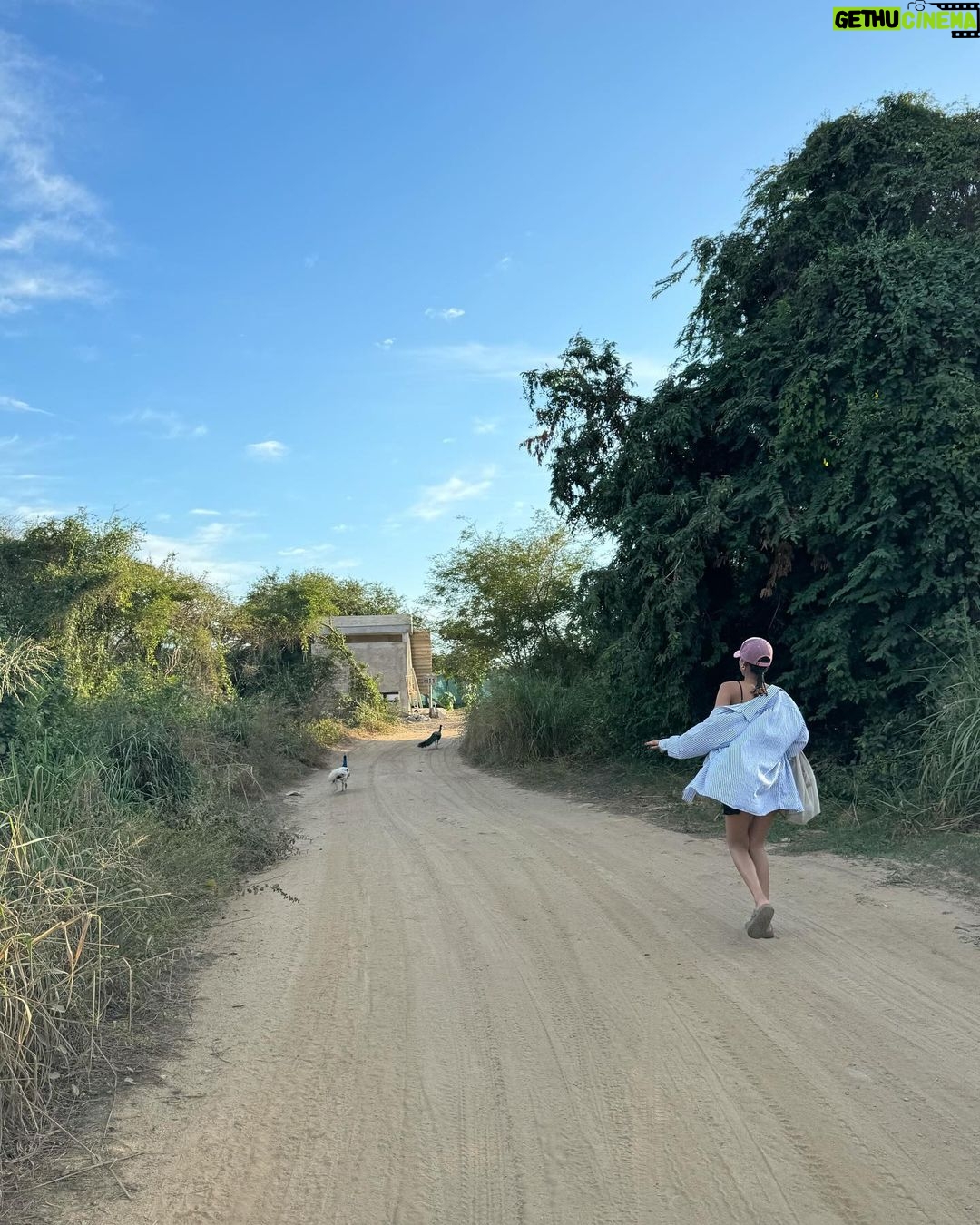 Clark Backo Instagram - happy happy days with sunshine, turtles, chasing peacocks, and trying to “save” Alisha from a rip tide I didn’t know was a rip tide! Yay to living and surviving!