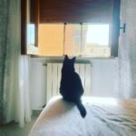 Claudia Gusmano Instagram – ❤️ Menta e i pensieri belli