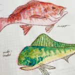 Clio Chiang Instagram - I recently found out that I outgrew my lifelong allergy to fish, so I’ve been drawing some that I’ve tried - such a weird texture! #hobonichi #watercolor