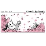 Clio Chiang Instagram - Silly little memories. #beefnoodlesoup #cherryblossom