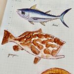 Clio Chiang Instagram - I recently found out that I outgrew my lifelong allergy to fish, so I’ve been drawing some that I’ve tried - such a weird texture! #hobonichi #watercolor