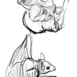 Clio Chiang Instagram – Suuuuper cute Egyptian fruit bats we drew at work today, led by @samstyle!! #lifedrawing