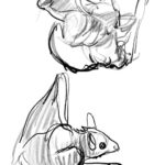 Clio Chiang Instagram – Suuuuper cute Egyptian fruit bats we drew at work today, led by @samstyle!! #lifedrawing