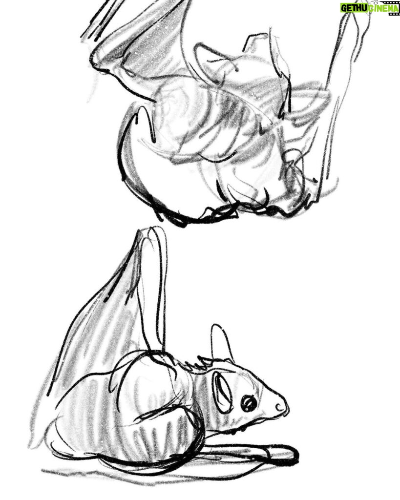 Clio Chiang Instagram - Suuuuper cute Egyptian fruit bats we drew at work today, led by @samstyle!! #lifedrawing