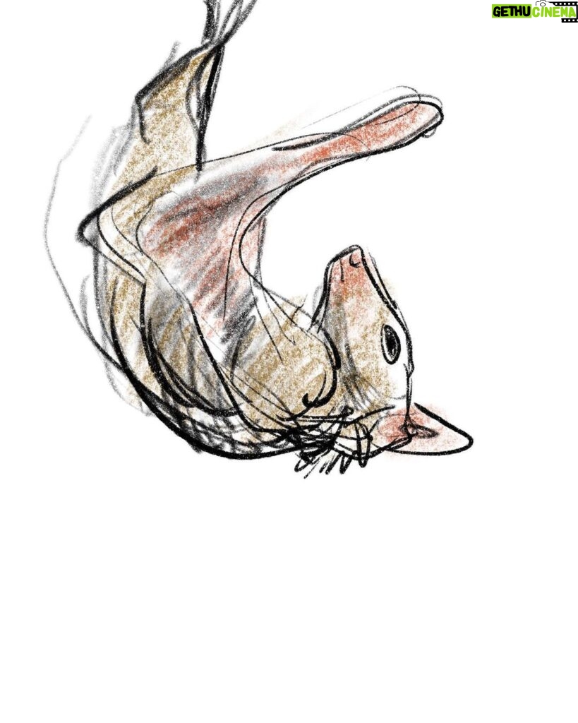 Clio Chiang Instagram - Suuuuper cute Egyptian fruit bats we drew at work today, led by @samstyle!! #lifedrawing