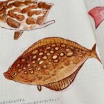 Clio Chiang Instagram - I recently found out that I outgrew my lifelong allergy to fish, so I’ve been drawing some that I’ve tried - such a weird texture! #hobonichi #watercolor
