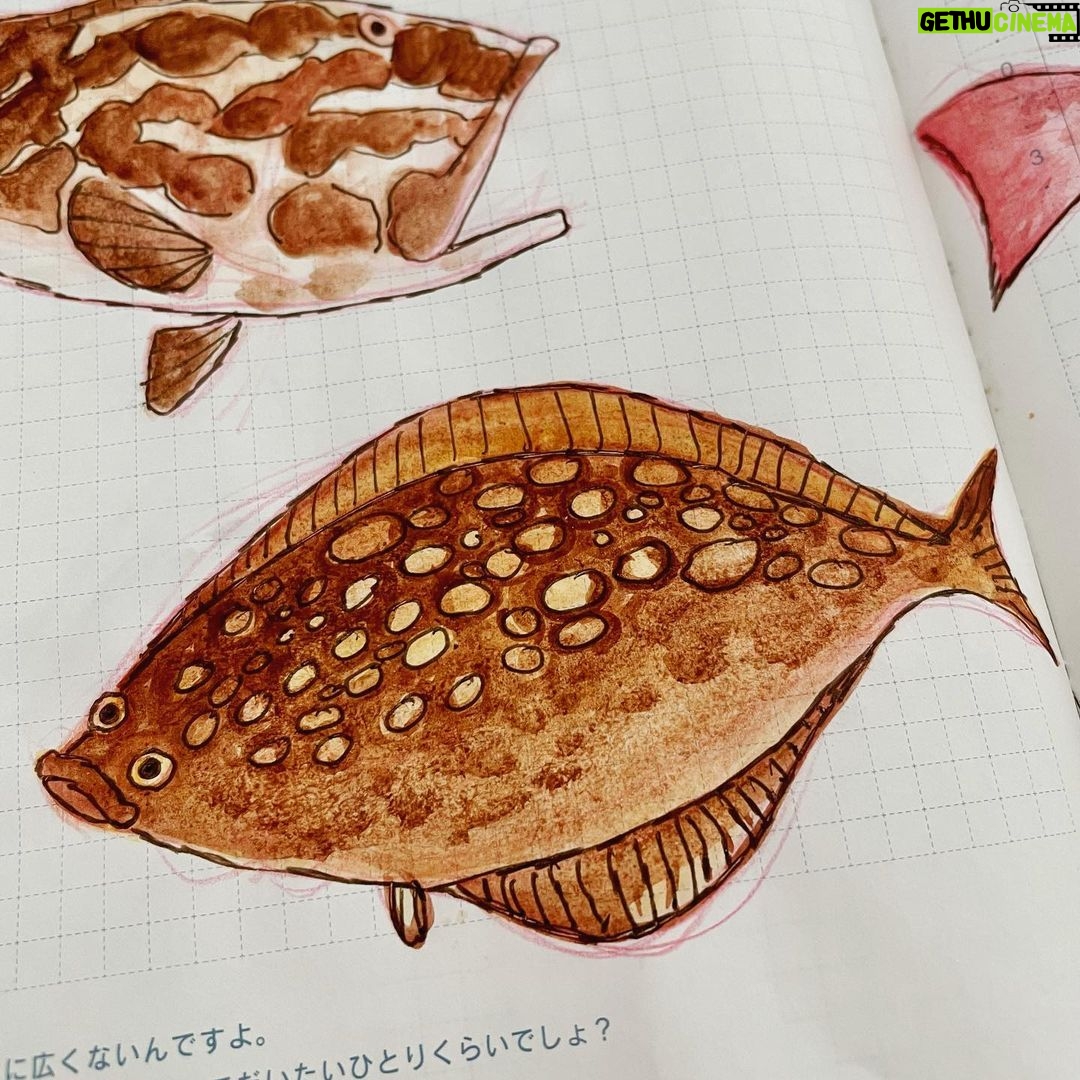 Clio Chiang Instagram - I recently found out that I outgrew my lifelong allergy to fish, so I’ve been drawing some that I’ve tried - such a weird texture! #hobonichi #watercolor