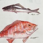 Clio Chiang Instagram - I recently found out that I outgrew my lifelong allergy to fish, so I’ve been drawing some that I’ve tried - such a weird texture! #hobonichi #watercolor