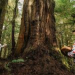 Cole Sprouse Instagram - “These forests are the last intimate and private places for my soul” said Elder Bill Jones (shown in previous slide), a key figure for the protection of the fairy creek old growth and member of the local First Nation people- the Pacheedaht. Demonstrating that “usage,” in an industrial sense, is not limited to dollars and cents and often doesn’t properly encompass a forest’s cultural and historical value in the consideration of legal protection.