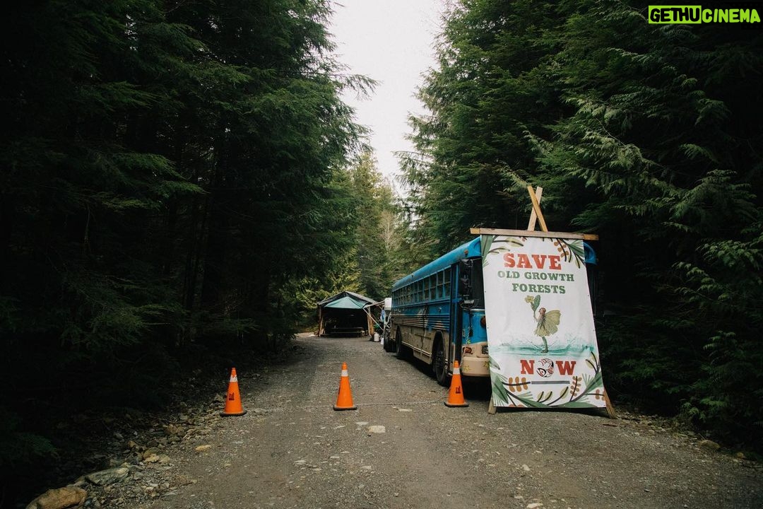 Cole Sprouse Instagram - New story with @i_d is here. The last great watershed of ancient old-growth forest in British Columbia lies threatened by logging. These thousand-year-old towering yellow cedars in Fairy Creek now serve as an environmental and cultural battleground between pro-conservation groups, @fairycreekblockade @rainforestflyingsquad @ancientforestalliance @endangeredecosystemsalliance , and pro-industry lobbyists/loggers, Teal Jones. To complicate matters even further, this grand watershed sits upon Pacheedaht land, a First Nations group with a history of colonist erasure. These ancient yellow cedar trees are considered incredibly financially valuable, and though the Pacheedaht are entitled to a small sum of financial compensation from the logging, a Teal Jones gag order and a group of green-minded Pacheedaht have brought new consideration to whether the pillaging of these ancient forests is truly worth the price. Now, with the court clearing of a legal injunction in Teal Jones’ favour that will cement the fate of the trees, activists mentally and physically prepare to stop the loggers. Check out @ancientforestalliance @rainforestflyingsquad and @endangeredecosystemsalliance for resources on how to better get involved, and keep up with my coverage over next couple days. Link to story in bio.