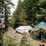 Cole Sprouse Instagram - New story with @i_d is here. The last great watershed of ancient old-growth forest in British Columbia lies threatened by logging. These thousand-year-old towering yellow cedars in Fairy Creek now serve as an environmental and cultural battleground between pro-conservation groups, @fairycreekblockade @rainforestflyingsquad @ancientforestalliance @endangeredecosystemsalliance , and pro-industry lobbyists/loggers, Teal Jones. To complicate matters even further, this grand watershed sits upon Pacheedaht land, a First Nations group with a history of colonist erasure. These ancient yellow cedar trees are considered incredibly financially valuable, and though the Pacheedaht are entitled to a small sum of financial compensation from the logging, a Teal Jones gag order and a group of green-minded Pacheedaht have brought new consideration to whether the pillaging of these ancient forests is truly worth the price. Now, with the court clearing of a legal injunction in Teal Jones’ favour that will cement the fate of the trees, activists mentally and physically prepare to stop the loggers. Check out @ancientforestalliance @rainforestflyingsquad and @endangeredecosystemsalliance for resources on how to better get involved, and keep up with my coverage over next couple days. Link to story in bio.
