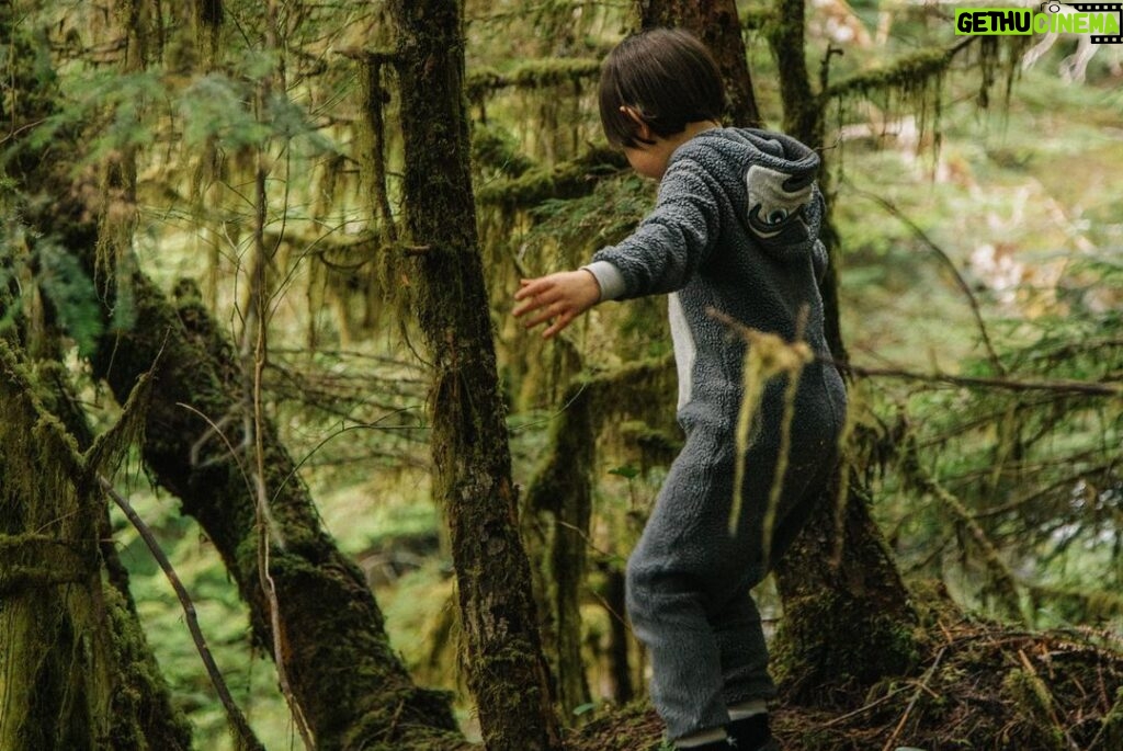 Cole Sprouse Instagram - New story with @i_d is here. The last great watershed of ancient old-growth forest in British Columbia lies threatened by logging. These thousand-year-old towering yellow cedars in Fairy Creek now serve as an environmental and cultural battleground between pro-conservation groups, @fairycreekblockade @rainforestflyingsquad @ancientforestalliance @endangeredecosystemsalliance , and pro-industry lobbyists/loggers, Teal Jones. To complicate matters even further, this grand watershed sits upon Pacheedaht land, a First Nations group with a history of colonist erasure. These ancient yellow cedar trees are considered incredibly financially valuable, and though the Pacheedaht are entitled to a small sum of financial compensation from the logging, a Teal Jones gag order and a group of green-minded Pacheedaht have brought new consideration to whether the pillaging of these ancient forests is truly worth the price. Now, with the court clearing of a legal injunction in Teal Jones’ favour that will cement the fate of the trees, activists mentally and physically prepare to stop the loggers. Check out @ancientforestalliance @rainforestflyingsquad and @endangeredecosystemsalliance for resources on how to better get involved, and keep up with my coverage over next couple days. Link to story in bio.