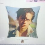 Cole Sprouse Instagram - Is there a market for body pillows?