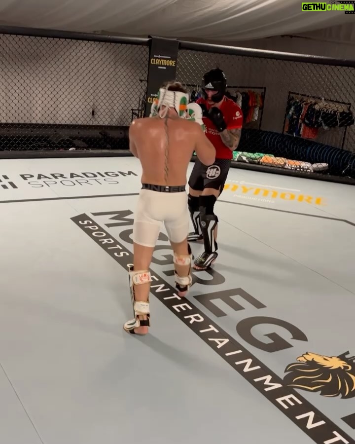 Conor McGregor Instagram - The double goat, I have the full scale octagon in my garden with the canvas covered in billion dollar businesses. IRELAND BABY!!! ๐ฎ๐ช @forgedirishstout @properwhiskey @paradigmsports @tidlsport @themaclifeofficial @mcgregorfast @claymoreproductions @mcgregorsportsentertainment @augustmcgregor