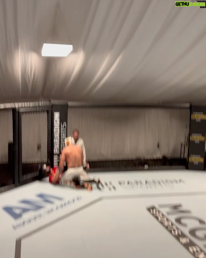 Conor McGregor Instagram - The double goat, I have the full scale octagon in my garden with the canvas covered in billion dollar businesses. IRELAND BABY!!! ๐ฎ๐ช @forgedirishstout @properwhiskey @paradigmsports @tidlsport @themaclifeofficial @mcgregorfast @claymoreproductions @mcgregorsportsentertainment @augustmcgregor