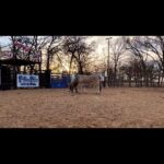 Cord McCoy Instagram - Solo Life MCCOY RANCH
