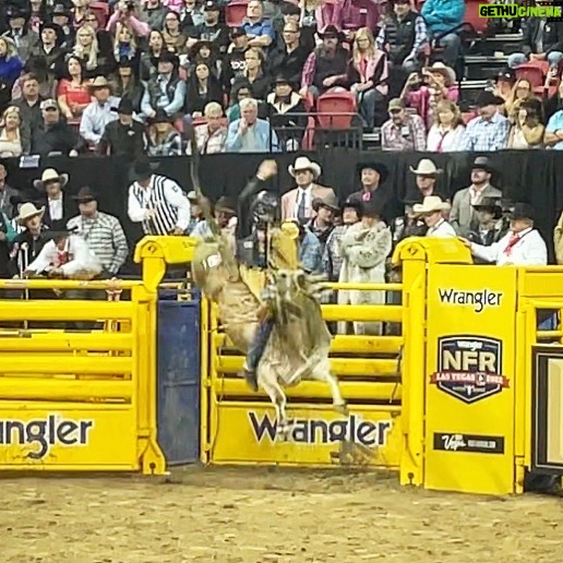 Cord McCoy Instagram - @mccoyrodeo ‘s first jump in the NFR. Couldn’t pick a better bull to do it with. -Thanks Solo. 👊🏻 Las Vegas, Nevada