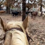 Cord McCoy Instagram - Round up! @abbibulls 2023 season starts now!
