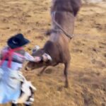 Cord McCoy Instagram - 17R Renegade McCoy/Lovell/Punke/Rodosky United States