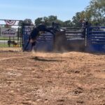 Cord McCoy Instagram - 2022 Fall Production Sale September 17th 1pm at the Ranch and Online. Make plans to be there. Lots of yearlings, bred cows, embryos, and recip cows. 5809276266 MCCOYRODEO.com cordmccoy@yahoo.com MCCOY RANCH