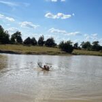 Cord McCoy Instagram - Skinny dippin’ MCCOY RANCH