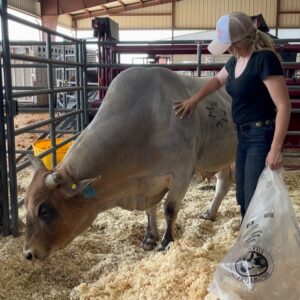 Cord McCoy Instagram - 612 Ridin Solo
Prepping for a big week!
@pbr World Finals 2022
