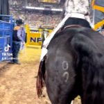 Cord McCoy Instagram - NFR Round #5