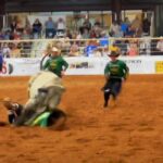 Cord McCoy Instagram – 017 First Class
Let the good times roll. @lucasbullfighter 
@mccoy_ranch @mccoyrodeo @transova_genetics #EmbryoBuckingBull #TransOvaBull