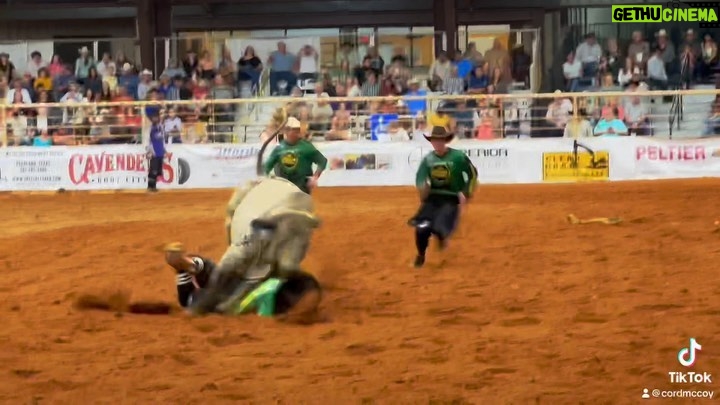 Cord McCoy Instagram - 017 First Class Let the good times roll. @lucasbullfighter @mccoy_ranch @mccoyrodeo @transova_genetics #EmbryoBuckingBull #TransOvaBull