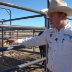 Cord McCoy Instagram – Welcome to the “Bull Pens”
@transova_genetics @ariatinternational @boot_barn_official @danawhite @monsterenergy @theamazingrace @mccoy_ranch @americanhatco @artistryalliances @monsterenergy @entertainmenttonight @sara.bestmccoy @cowboychannel @florodeo @pbr @okfreedompbr @pbrceo @bigskypbr @pbrbrazil @ridepass