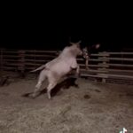 Cord McCoy Instagram – @sara.bestmccoy & 612 Ridin Solo