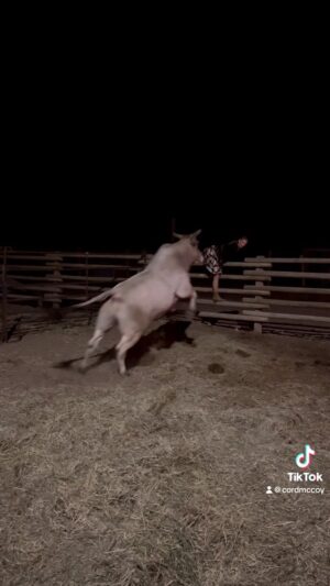 Cord McCoy Instagram - @sara.bestmccoy & 612 Ridin Solo