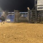 Cord McCoy Instagram – CMc247 selling 1/2 Interest 
@mccoy_ranch Fall Production Sale
November 4th 1pm Lane, Oklahoma 
cordmccoy@yahoo.com for more info
Sale includes:
15 1/2 interest bulls
2 1/2 Interest Donor Cows
Pregnant Recip cows by Solo, Duck, Tulsa 
10 Ridin Solo daughters 
20 yearling Futurity Bulls ready to go 
McCoyRodeo.com CCI.live Live & Online