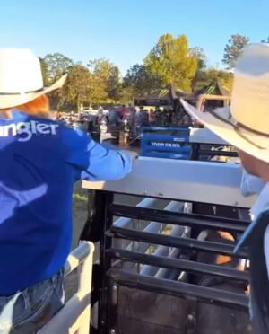 Cord McCoy Instagram - Chase Outlaw’s CHUCK N BUCK
For the WIN! Gage Gay rides the @boot_barn_official Bounty Bull to seal the deal. #NoFences