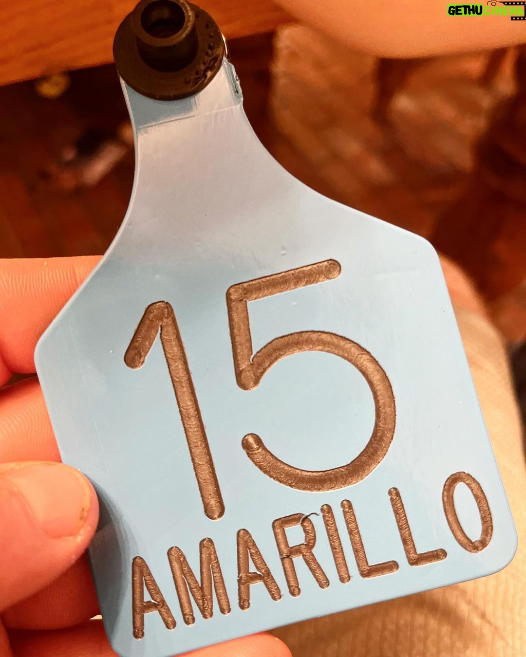 Cord McCoy Instagram - How’d you get the name. #15 was entered in Amarillo @abbibulls event last year, his debut. Well, the count was right for the bull list, but somehow #15 missed the truck. 15 was never missed until they announced his name “Next Up”. #15 was NOT in Amarillo, Texas. You guessed it he was still at the @mccoy_ranch in Lane, Oklahoma. @cam_camheath 🤠
