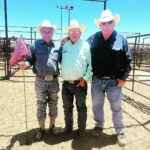 Cord McCoy Instagram – Doin a little horse trading in New Mexico with Dennis, Denny, & Jerry. Los Lunas, New Mexico