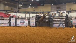 Cord McCoy Instagram - Solo Babies
Ridin Solo had several calves bucking in the Futurity this morning.