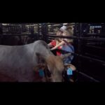 Cord McCoy Instagram - Land Payments 612 Ridin Solo #Family #Solo